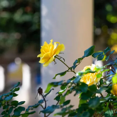Appealing Holiday In With Garden Vakantiehuis *